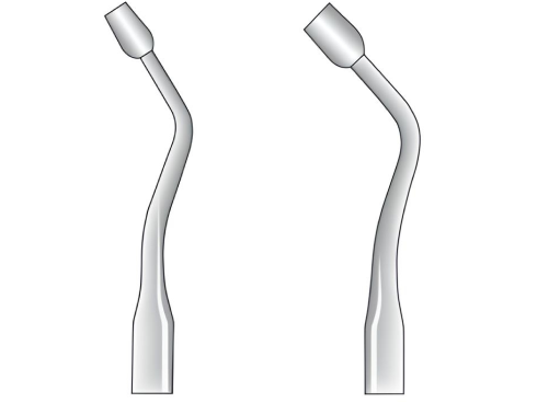 Hollenback fig. 2
(0824.##.H2)
