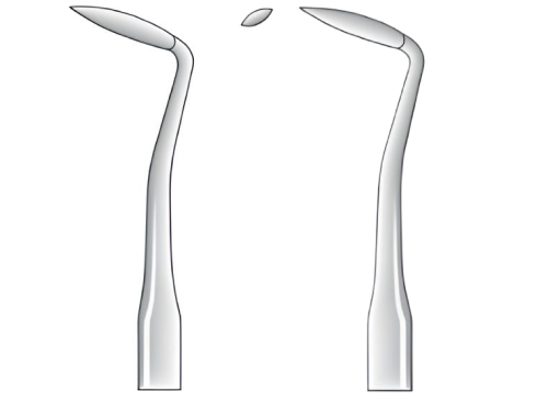 Hollenback fig. 3
(1403.##.03)
