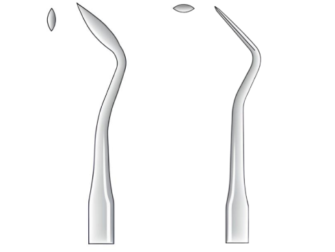 Hollenback fig. 3S
(1403.##.03S)
