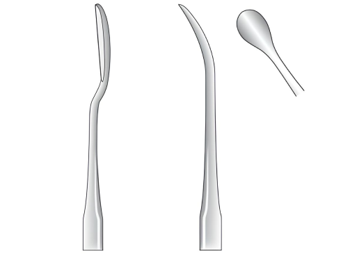 Woodson fig. 1
(0836.##.01)
