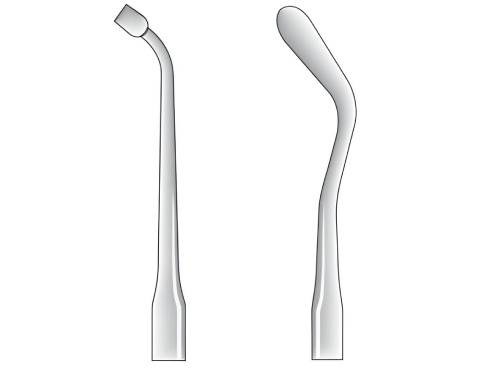 Woodson fig. 2
(0836.##.02)
