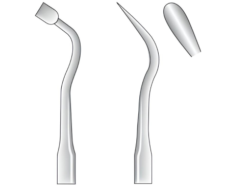 Woodson fig. 3
(0836.##.03)
